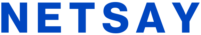 netsay.in